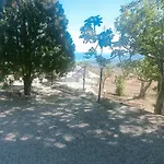 Panorama Scurzi Militello Rosmatino